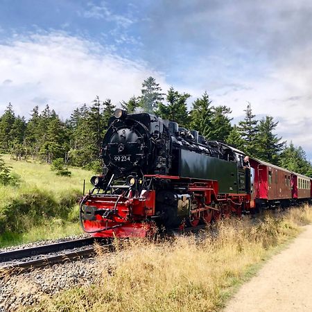 Fewo Schlossblick #Innenstadt #Garten #Netflix Von Harztraveler Wernigerode Eksteriør billede