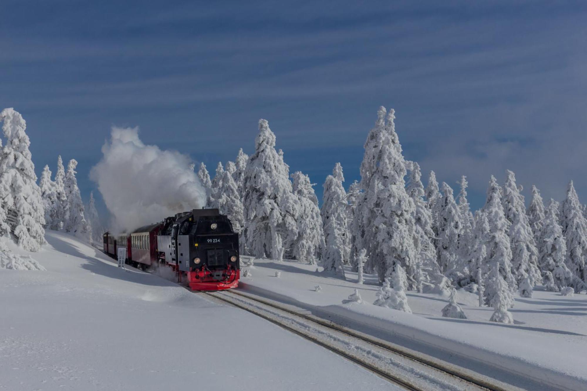 Fewo Schlossblick #Innenstadt #Garten #Netflix Von Harztraveler Wernigerode Eksteriør billede