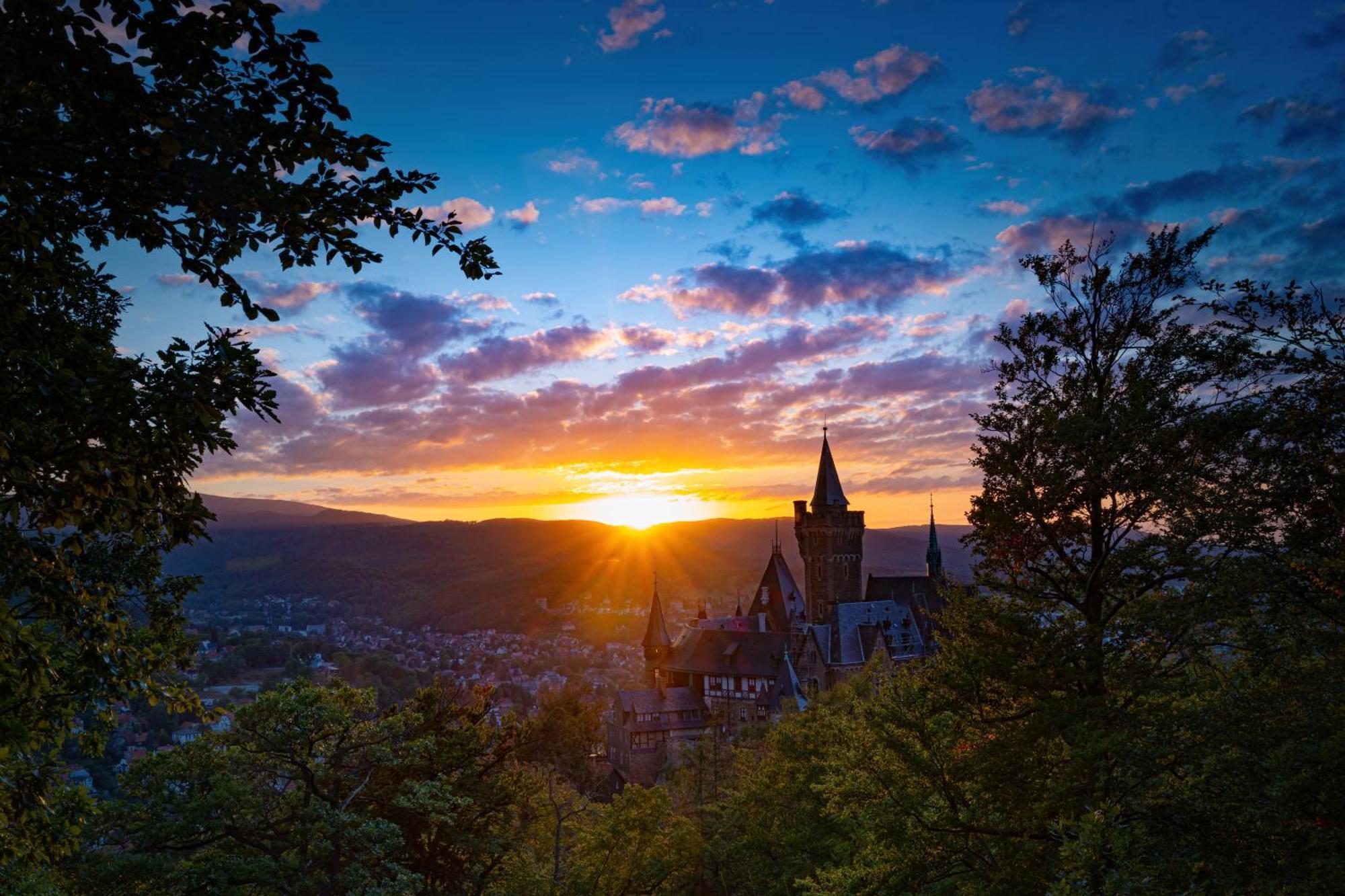 Fewo Schlossblick #Innenstadt #Garten #Netflix Von Harztraveler Wernigerode Eksteriør billede